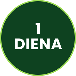 Step 1 Icon