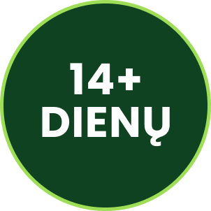 Step 3 Icon