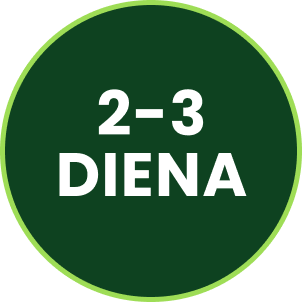 Step 2 Icon
