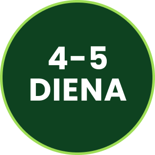 Step 3 Icon