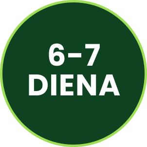 Step 1 Icon