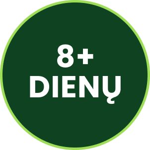 Step 2 Icon