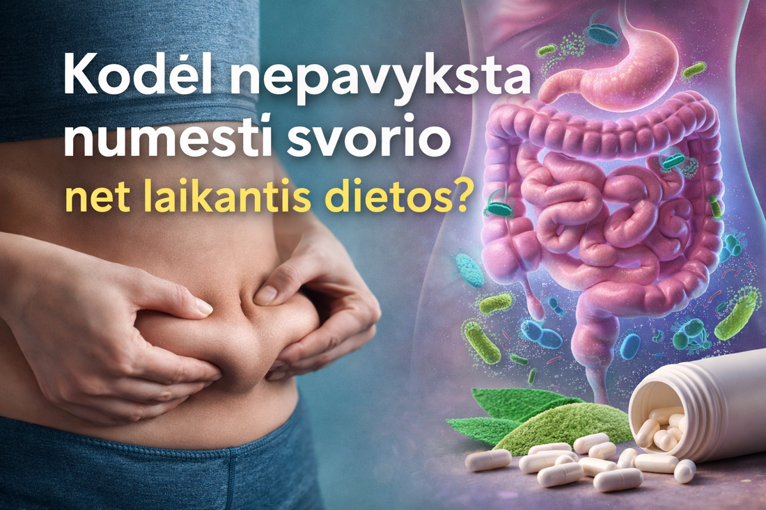 Kodėl nepavyksta numesti svorio net laikantis dietos? Sužinokite, kodėl svoris nekrenta, kaip lėtas virškinimas ir žarnyno mikrobiota gali stabdyti rezultatus, ir ką daryti, kad svorio metimas pagaliau pajudėtų.