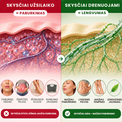skysciai-organizme